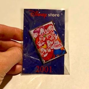 Collectible Pin